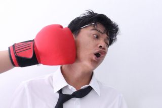 boxer